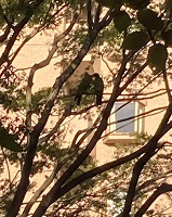 夏をふりかえって・・・１（補整）