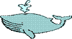 Baleine - Baleen Whale