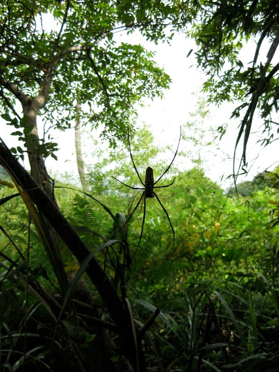 Hiking at Shihding Nanku