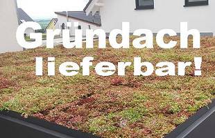 Beispiel-Nr. STC-29   Lieben Sie Gründächer? Dann machen wir gern ein Zusatz-Angebot zu unseren Standard-Carports in Stahlbauweise.