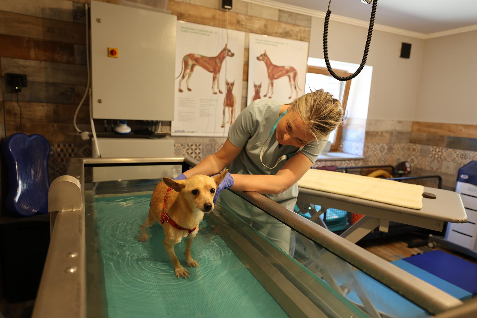 Physiotherapie im neuen Haupthaus.
