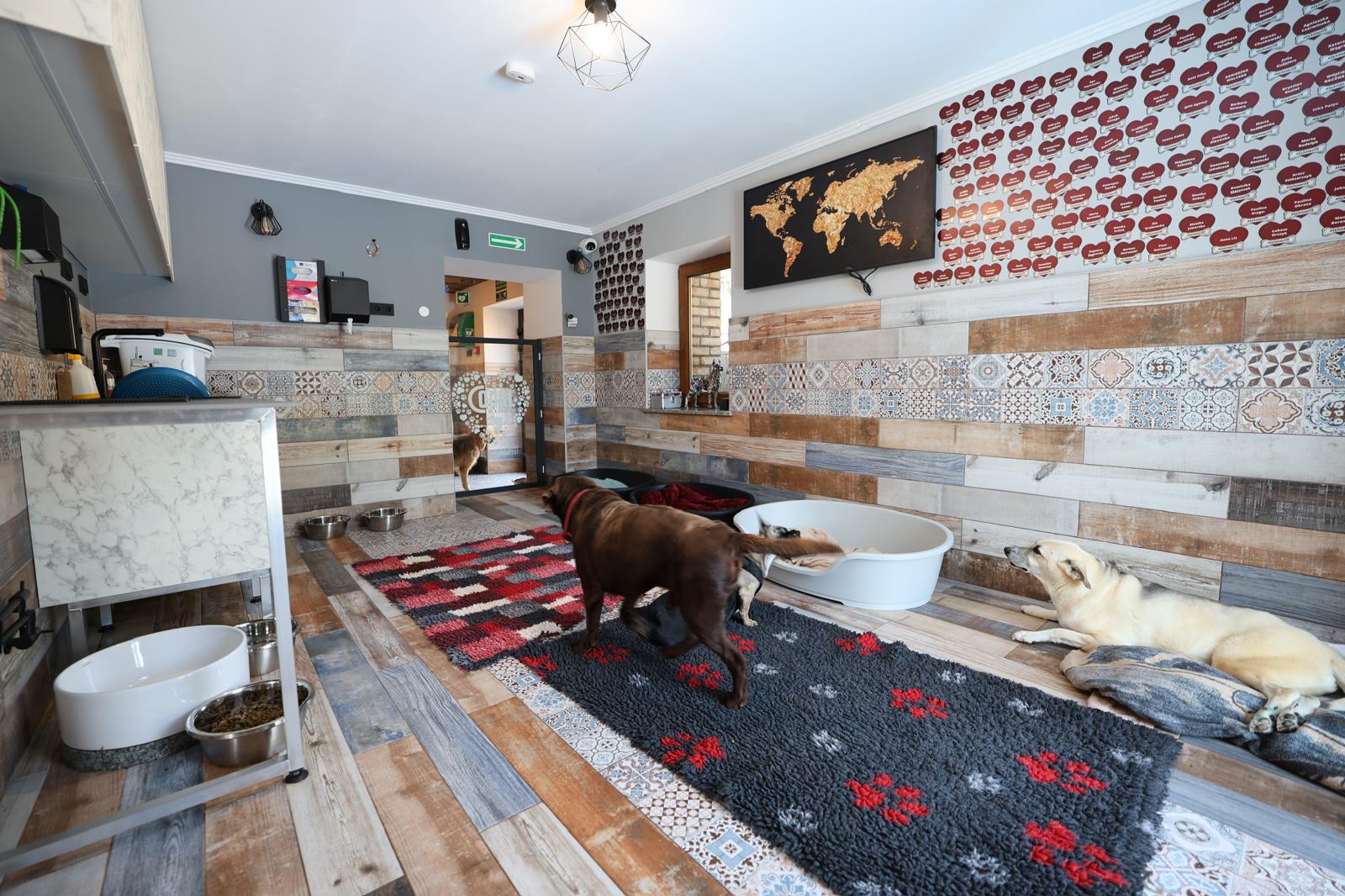 Katzenzimmer.