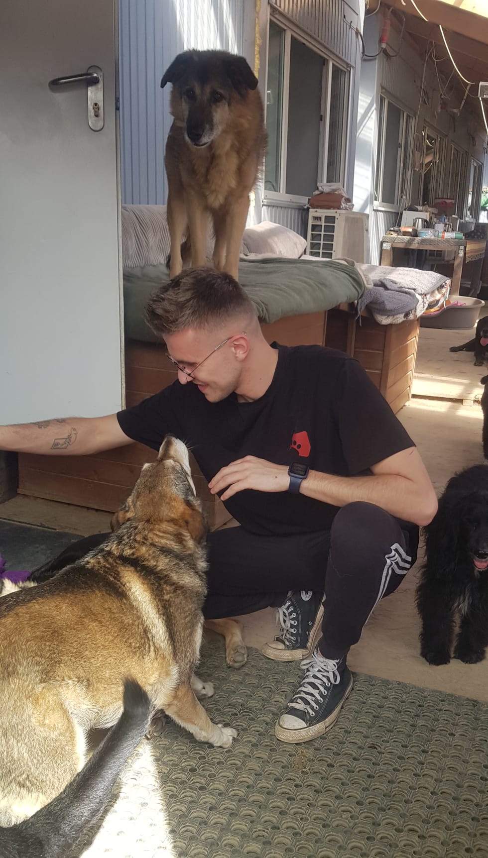 Alle sind liebevoll zu den Tieren.