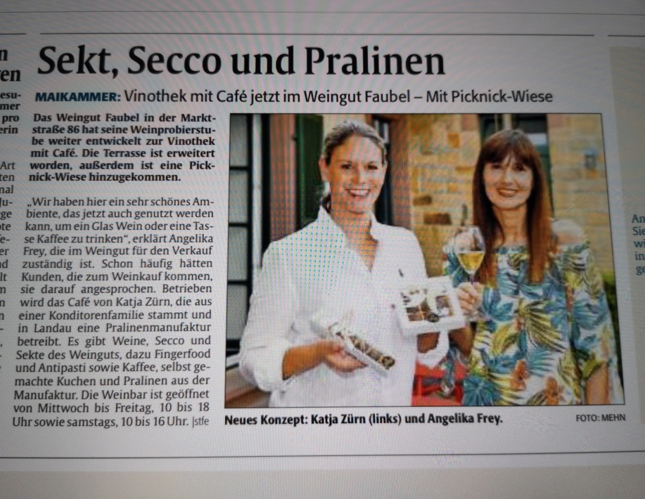Mein Artikel in der Rheinpfalz vom 11.07.2020