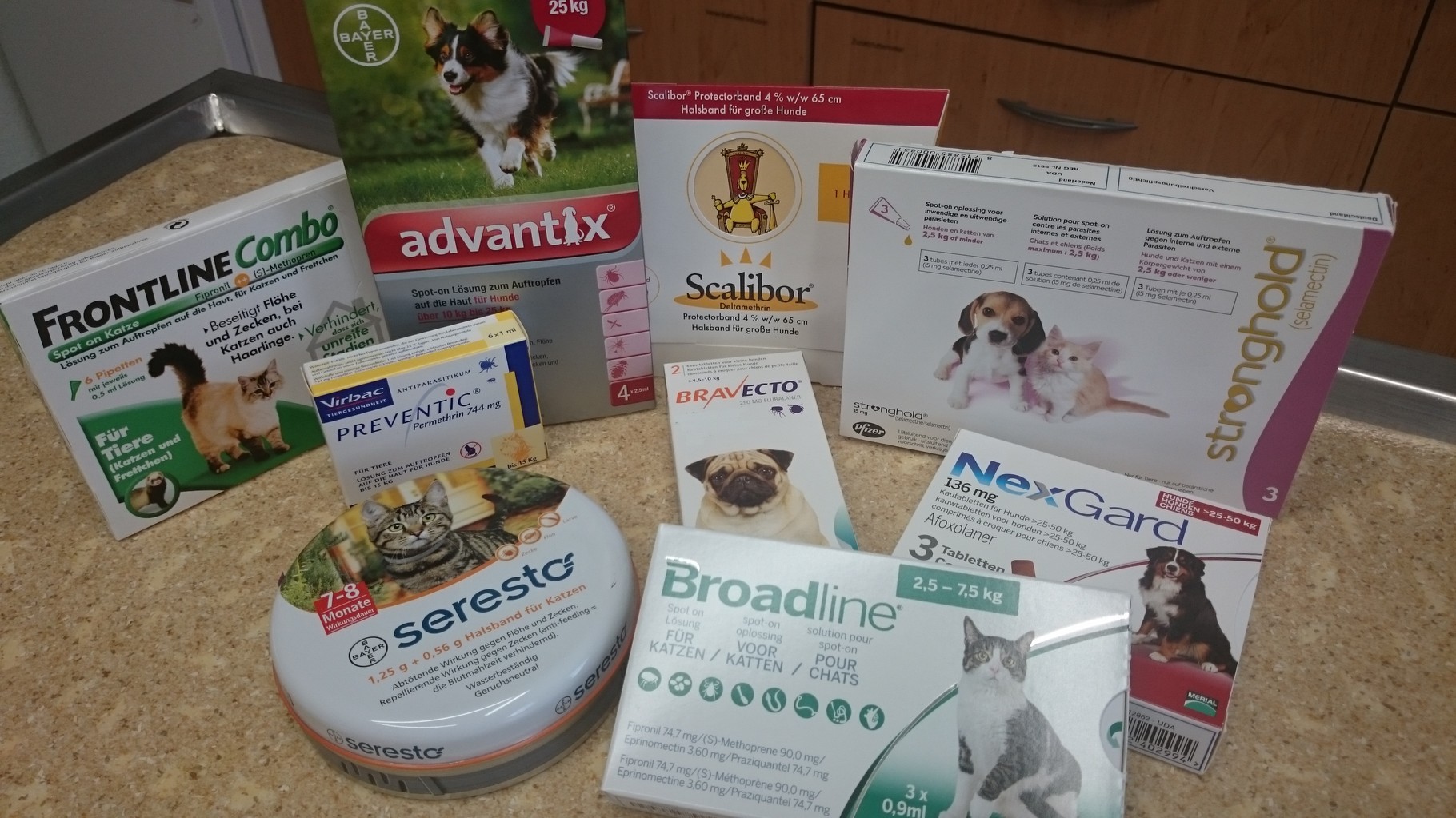 Bestes Mittel Gegen Flöhe Und Zecken Bei Hunden