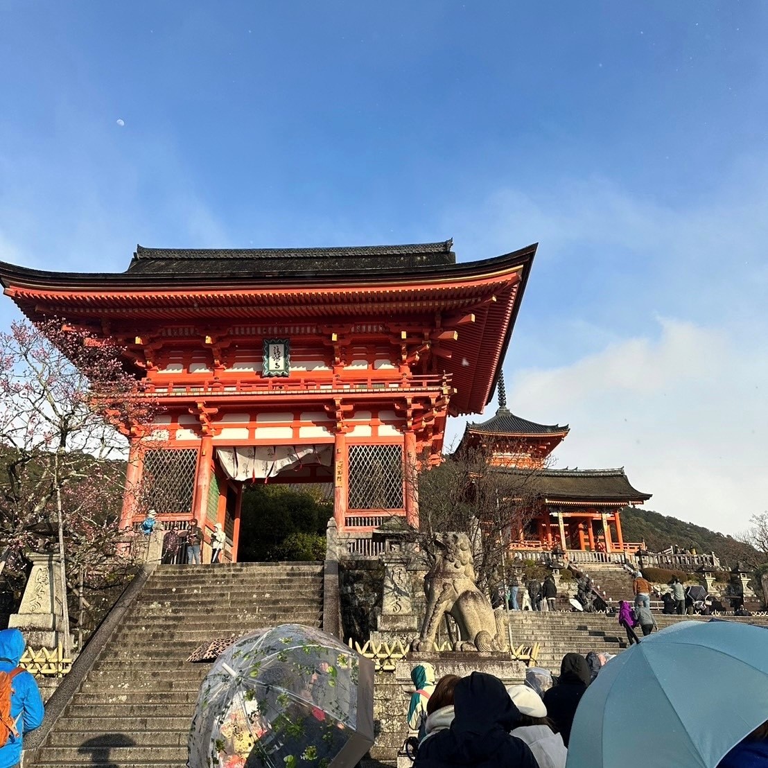 ボーナス旅　大阪・京都　～真冬の京都編～