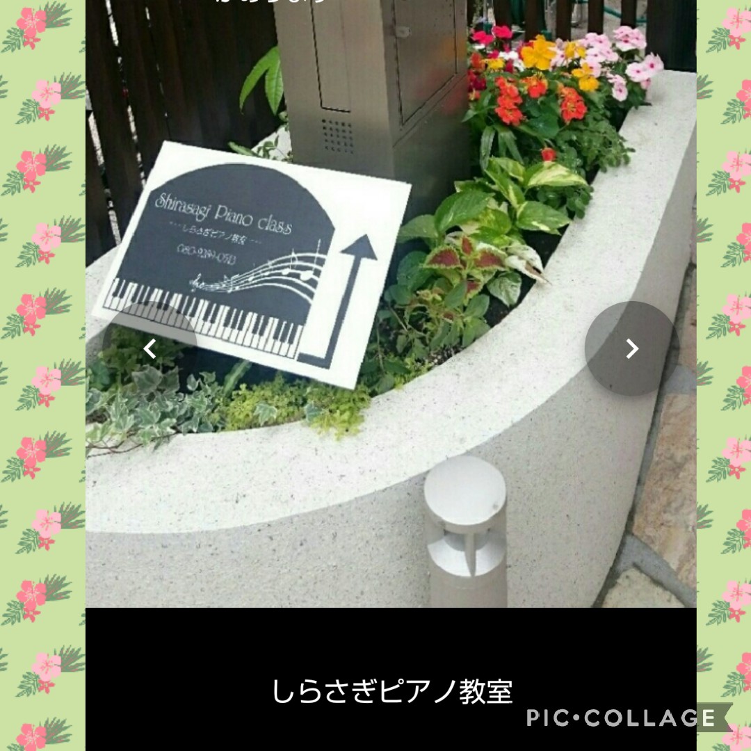 shirasagipianokyositu ページ！