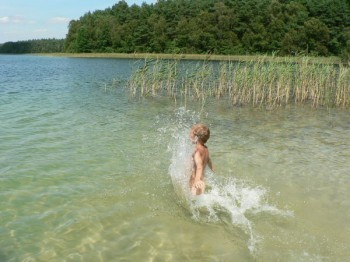 Flach abfallendes Ufer am Krummer See - ideal für Krabbelkinder