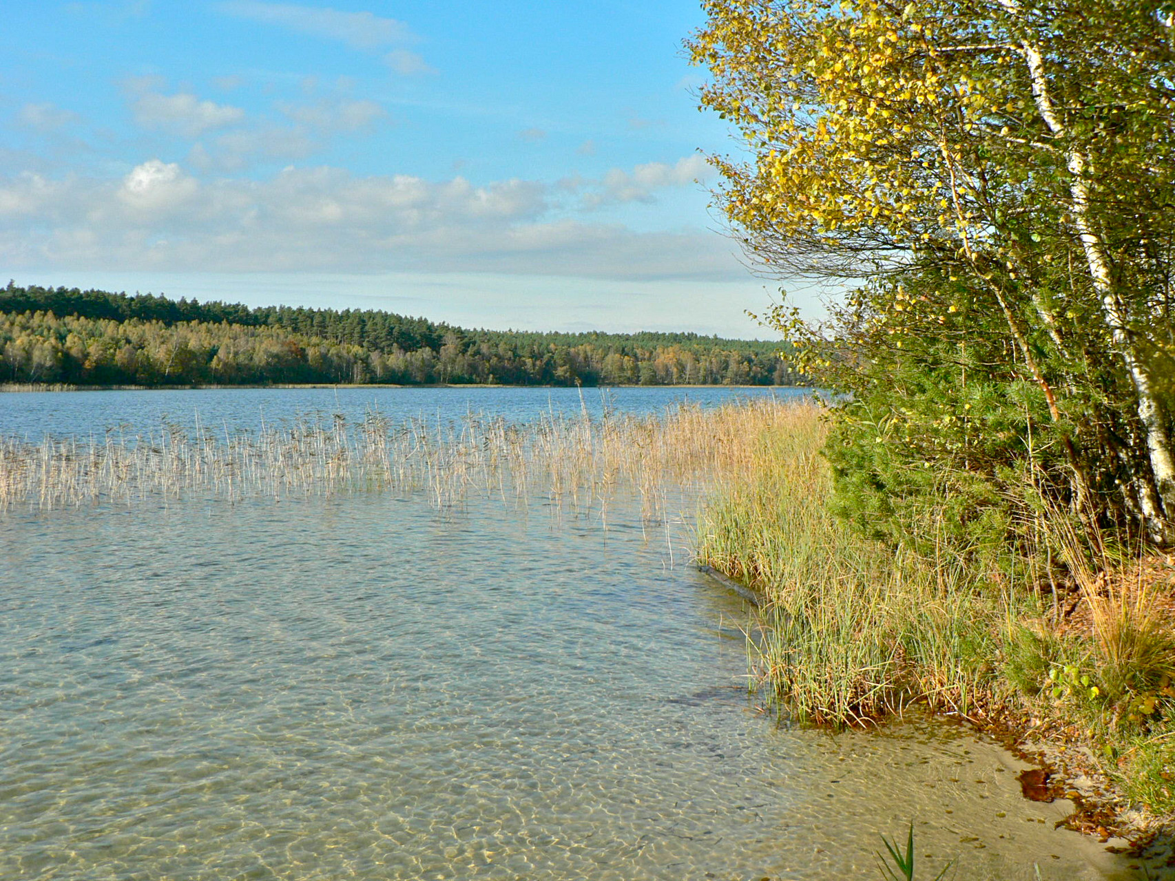 Herbsttag am Krummer See