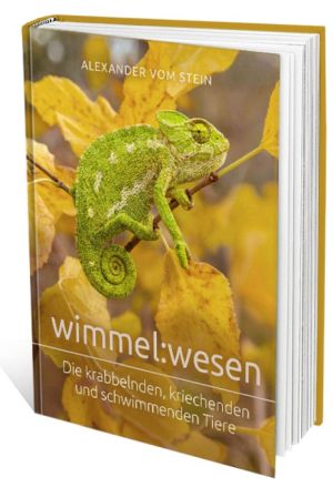 wimmel:wesen