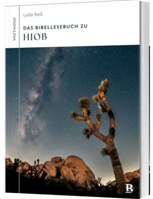 Bibellesebuch zu Hiob