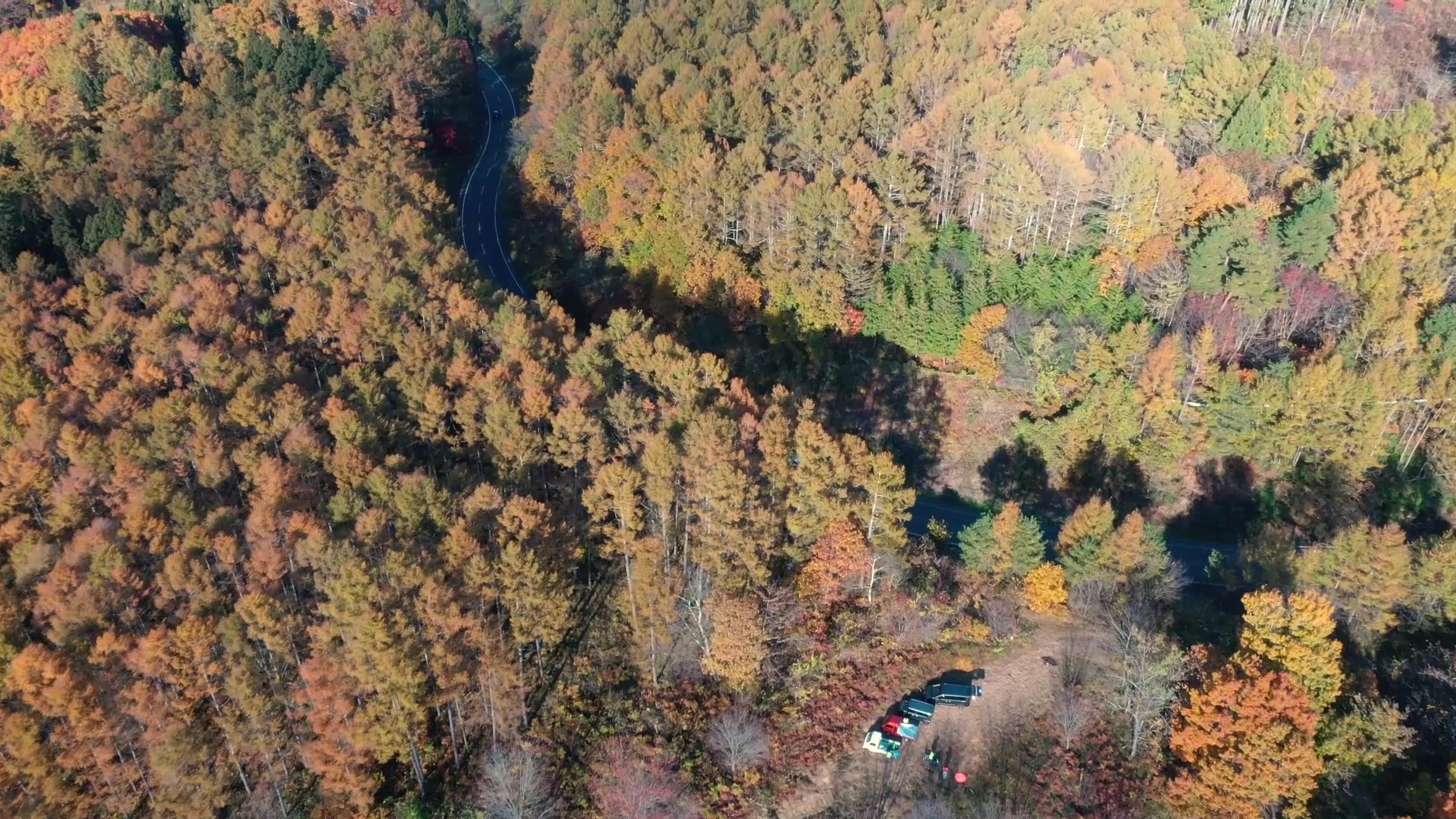 飯綱町　普光寺山の紅葉を撮影しました