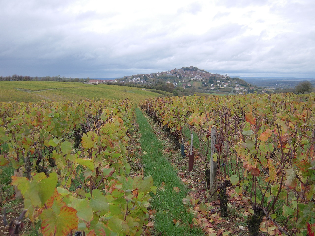 Oenotourisme dans le Cher