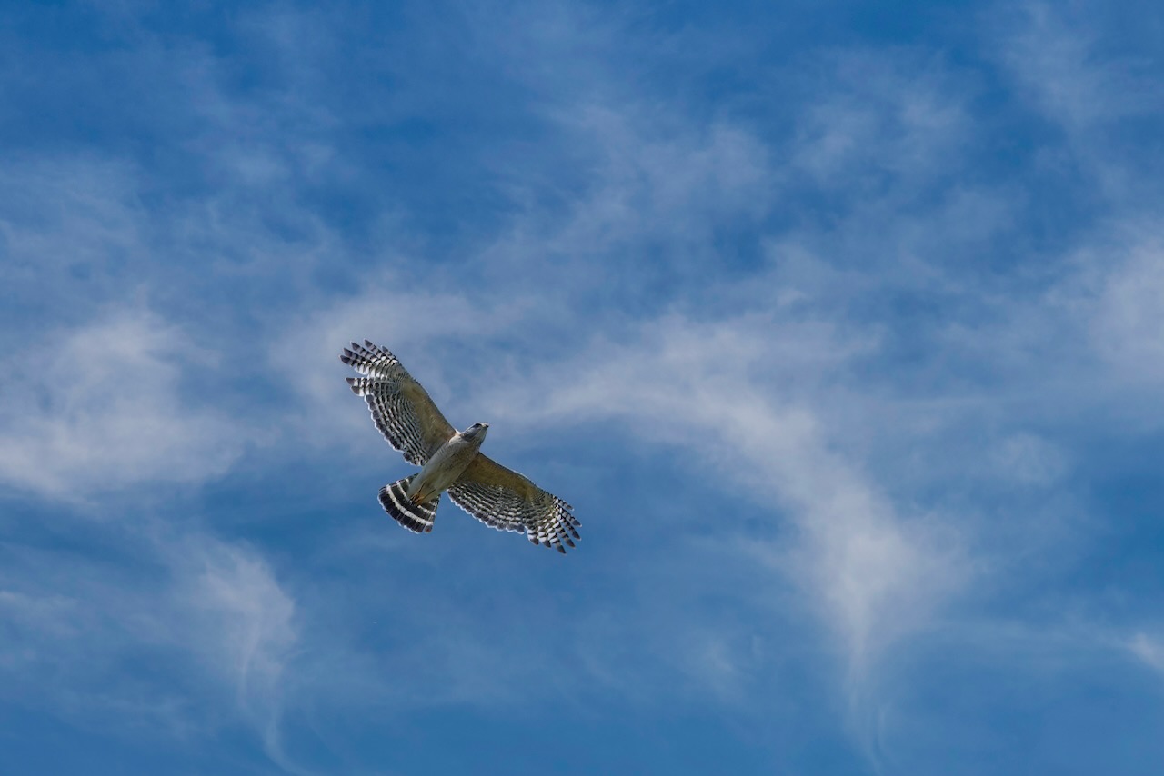 Photo by Dave Cottrill