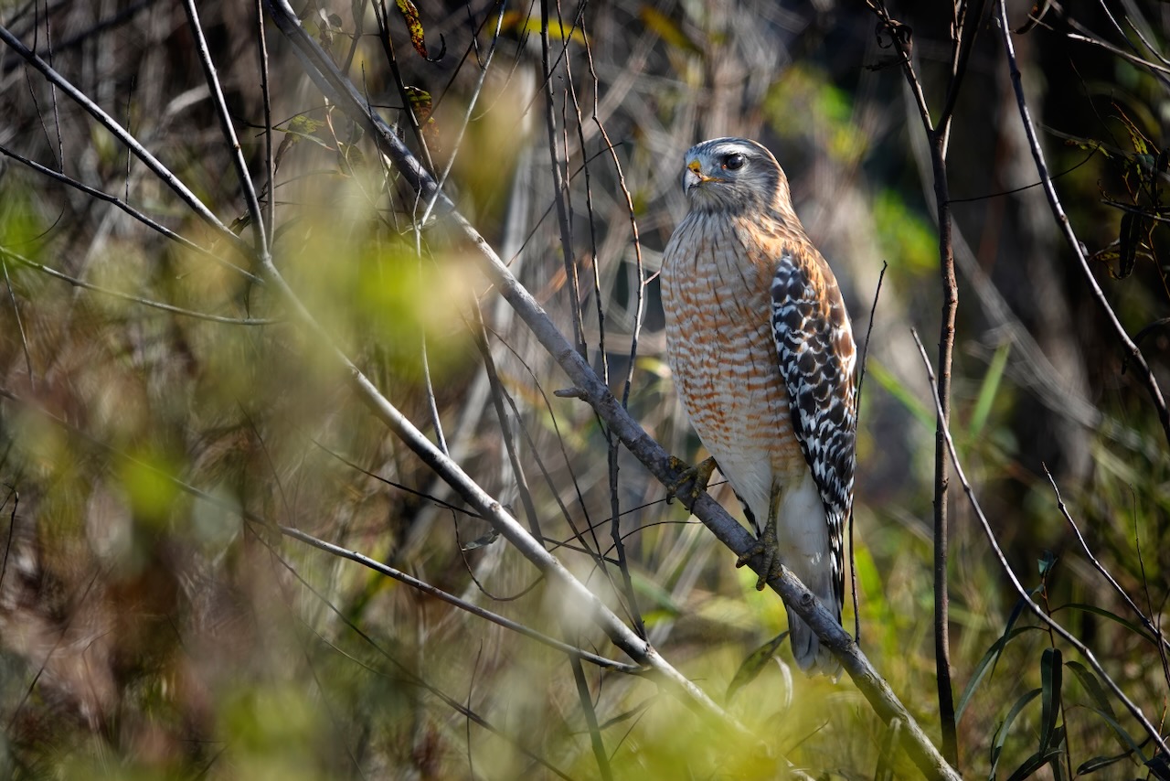 Photo by Dave Cottrill