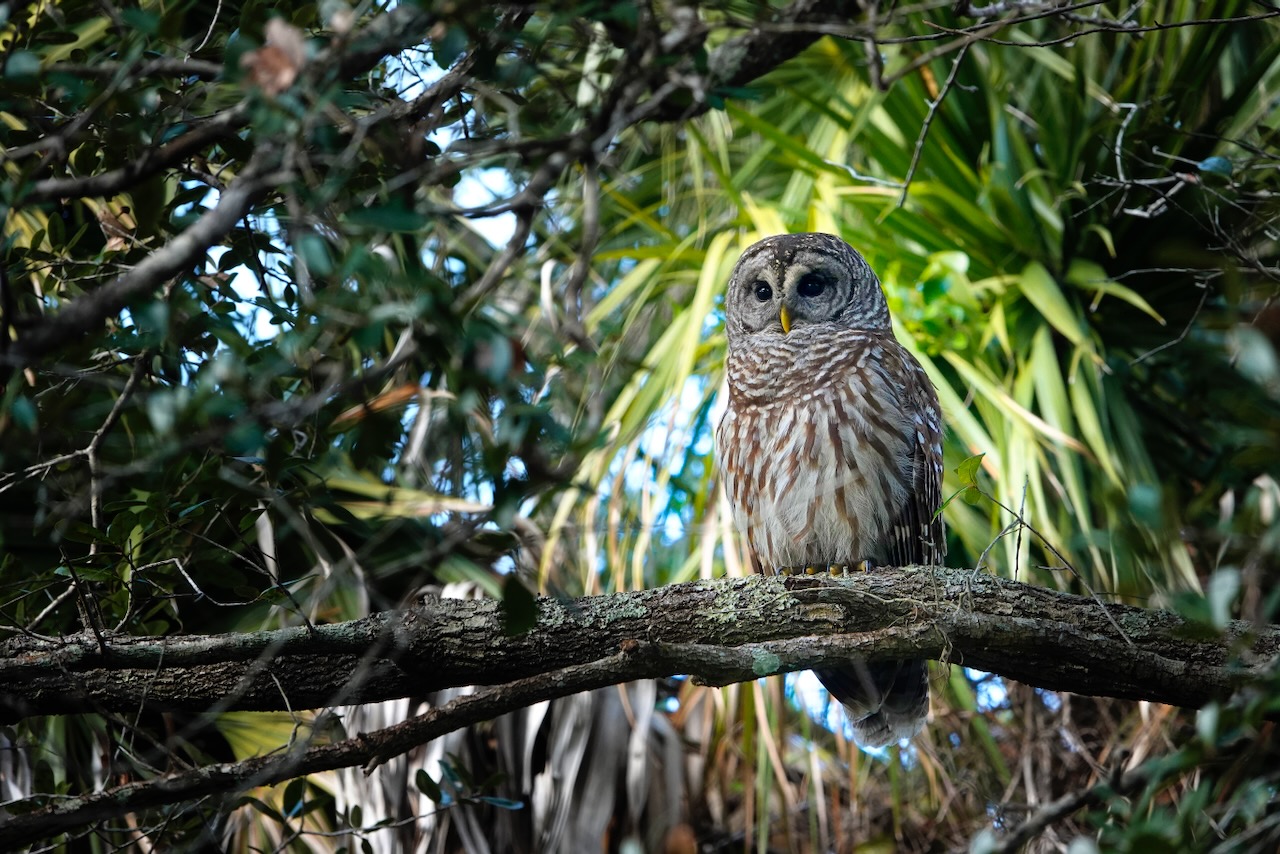 Photo by Dave Cottrill