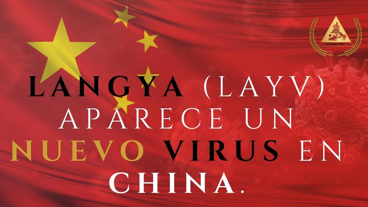 Langya henipavirus (LayV) Aparece un nuevo virus en China.