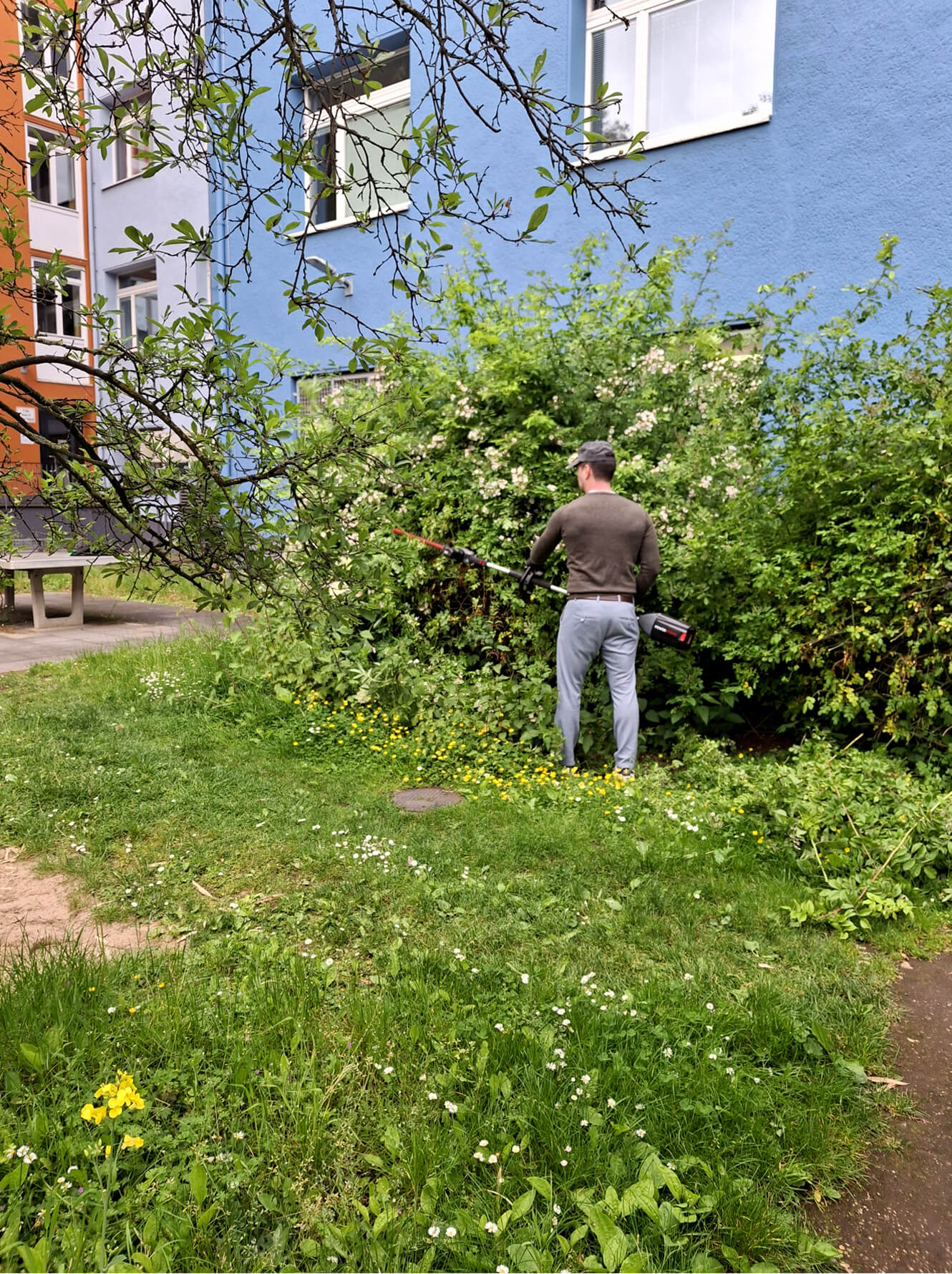 Heckenschneiden