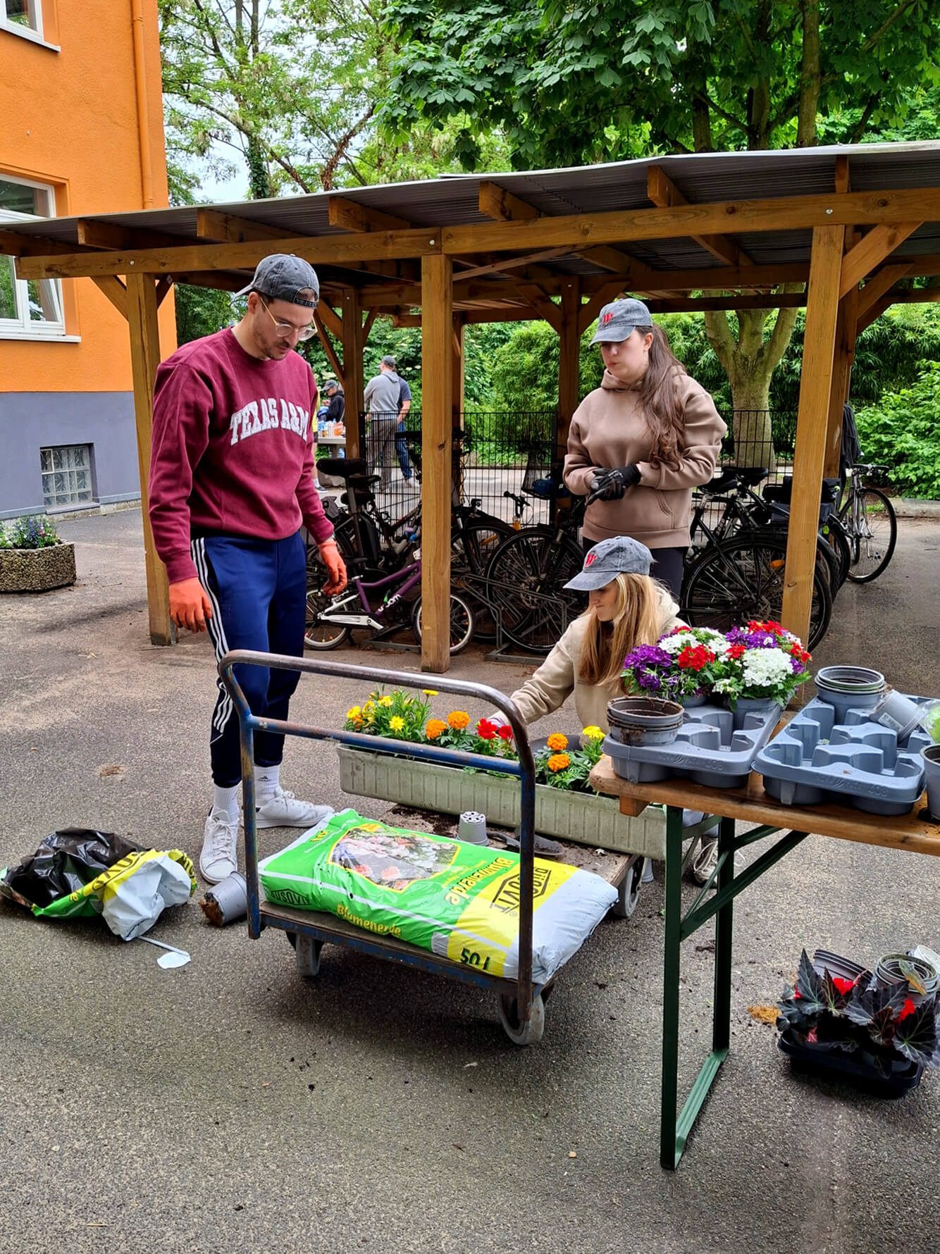 ...für Kübel und Blumenkästen