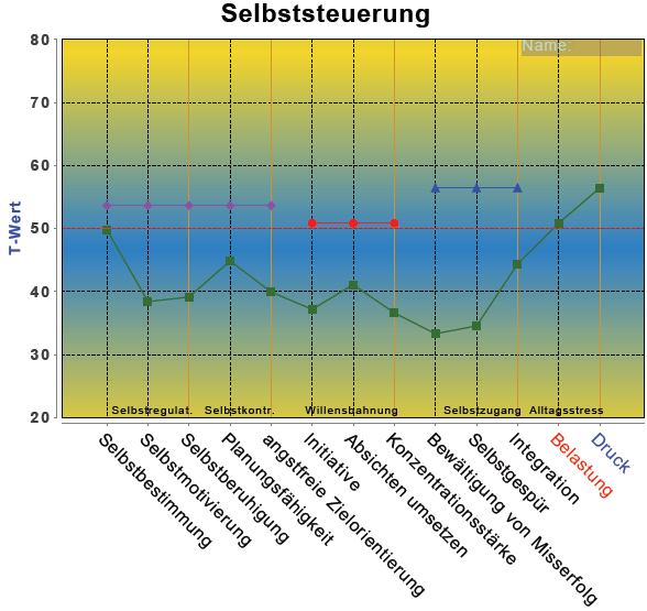Testergebnis "Selbststeuerung" (PSI-Diagnostik)