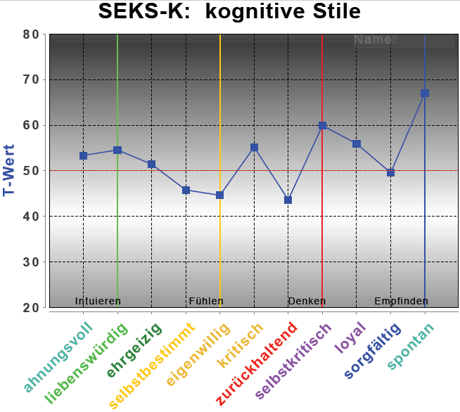 Testergebnis "kognitive Stile" (PSI-Diagnostik)
