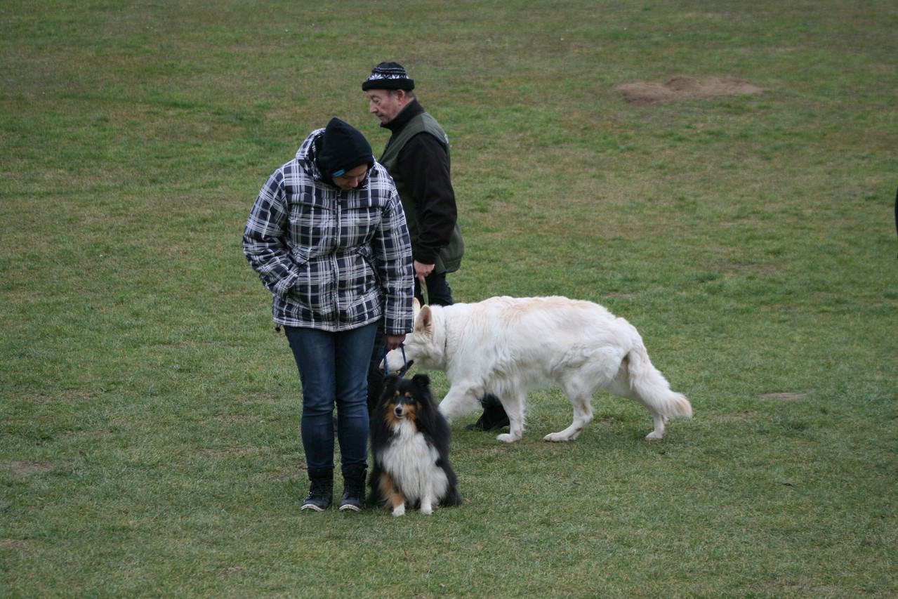 Silvesterturnier 2013