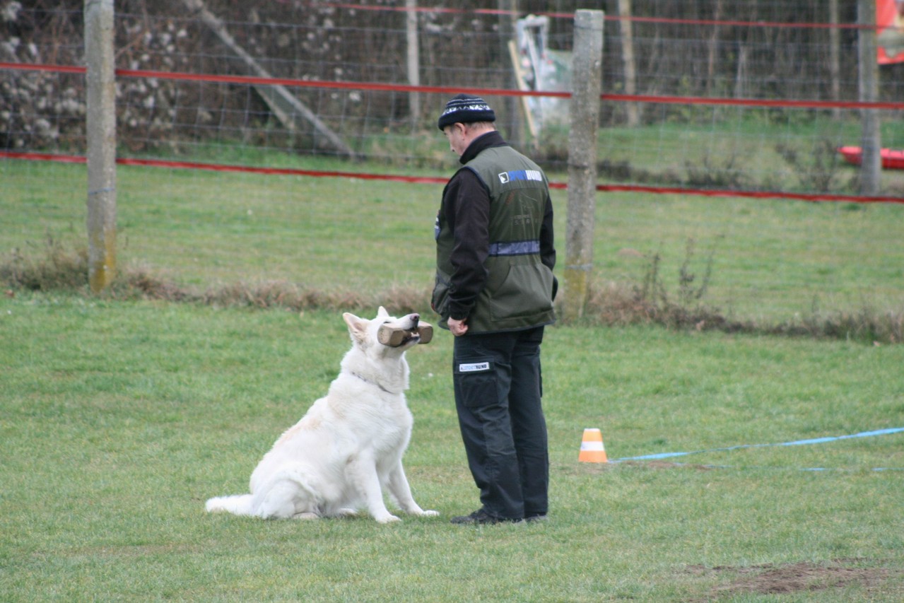 Silvesterturnier 2013