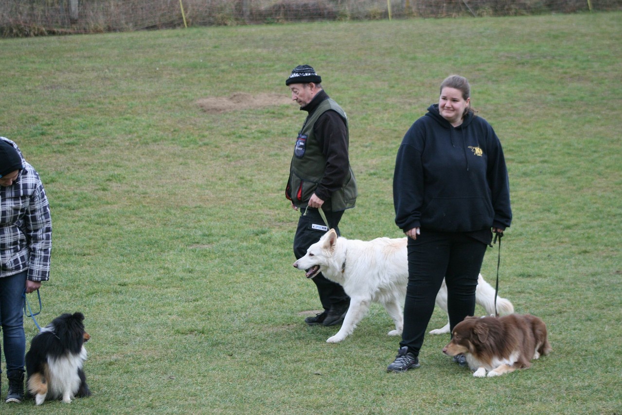 Silvesterturnier 2013