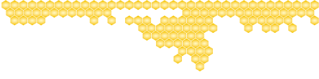 Bienenwaben Vektor
