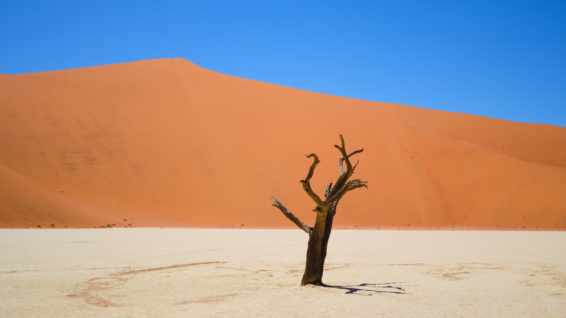 Abenteuer Namibia