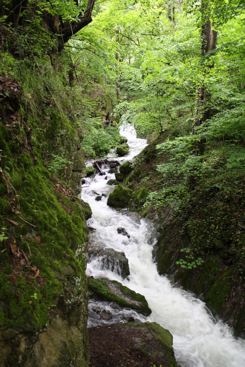 Garadna creek