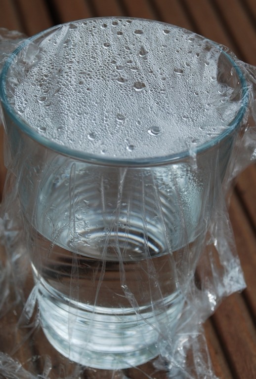 Verdunstetes Wasser kondensiert - Nela forscht - Naturwissenschaft für