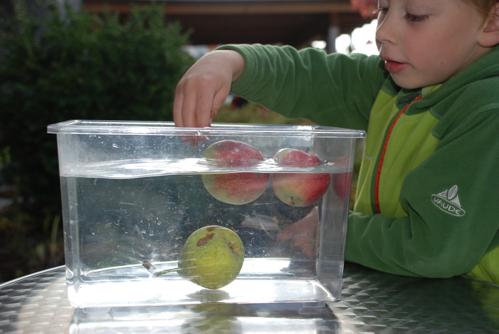 Apfel schwimmt, Birne sinkt - Nela forscht - Naturwissenschaft für Kinder