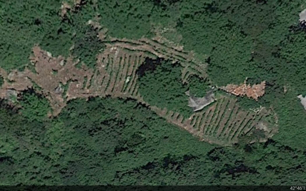 Il terroir del Pecorino