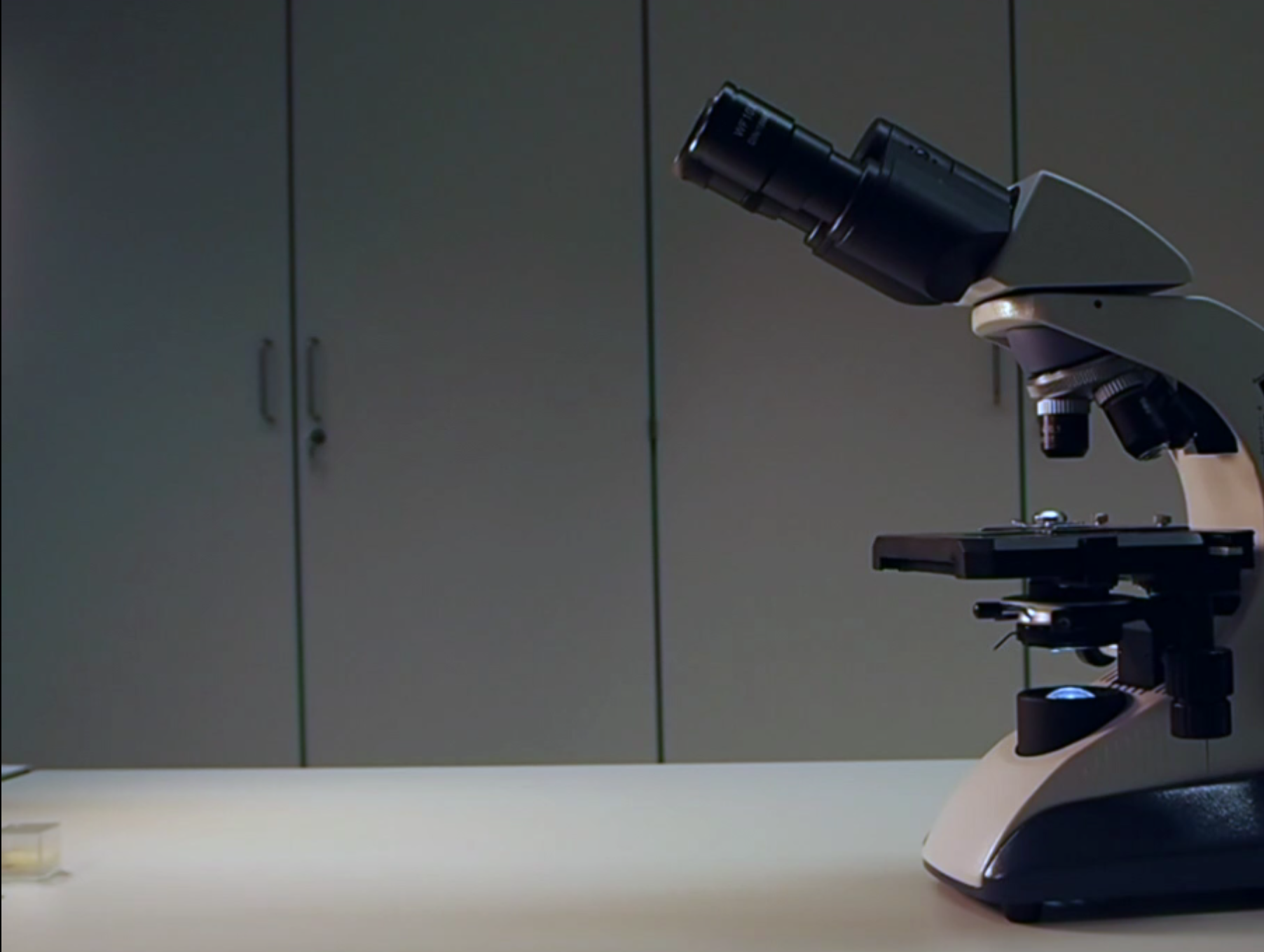 Die Fotosynthese erforschen BiologieUnterricht im digitalen Zeitalter