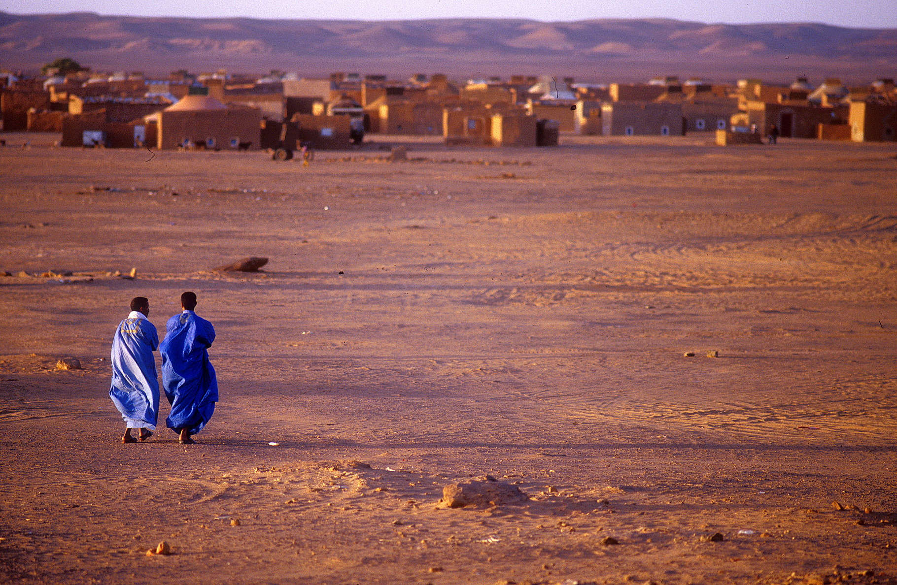 Sahara, 2003