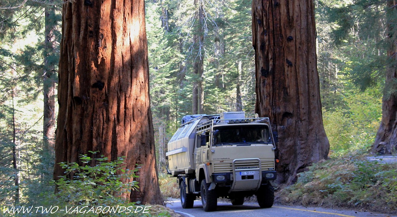 USA 2011 - SEQUOIA