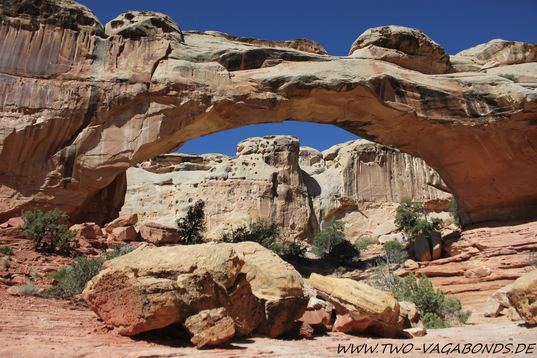 USA 2011 - RAINBOW BRIDGE