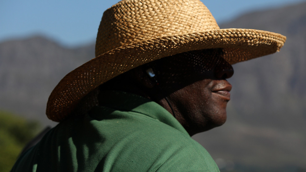 Driver, Franschhoek, South Africa