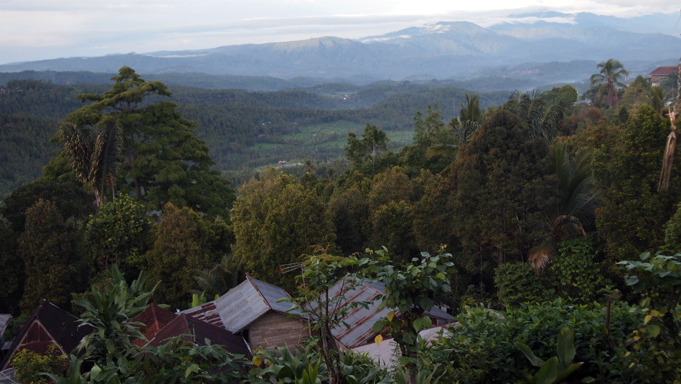 Close to dusk in Munduk