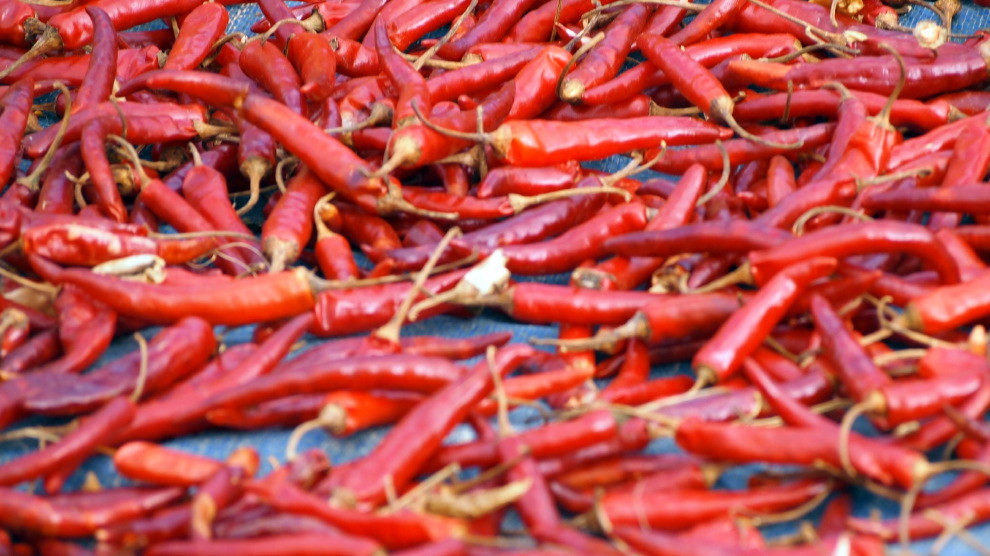 Drying chillies, between Kala and Nyaung Shwe, Myanmar