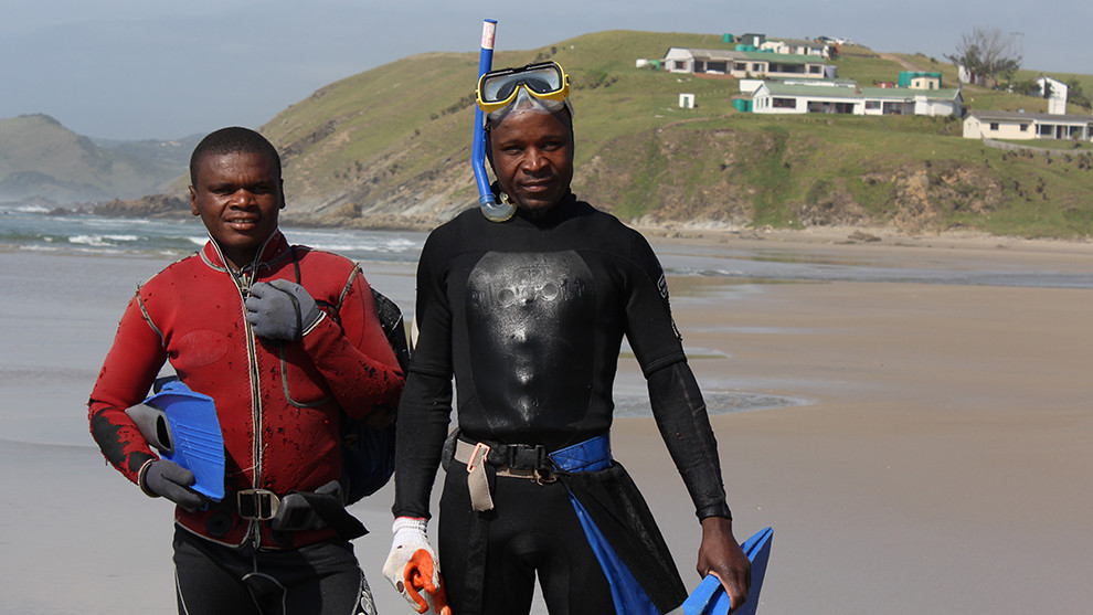 Diving for crayfish, Wild Coast, South Africa