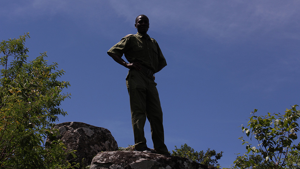 Watching over Mtarazi Falls, Mutasa, Zimbabwe 