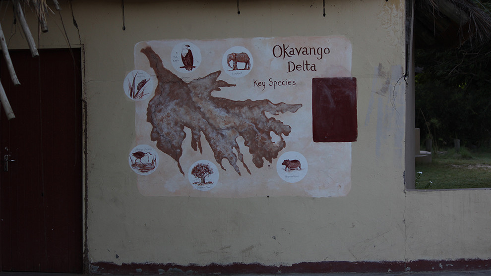 Species found in Okavango Delta