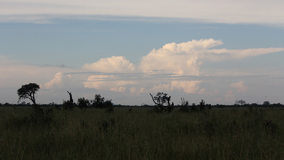 Around Savuti - deep in the bush of Botswana