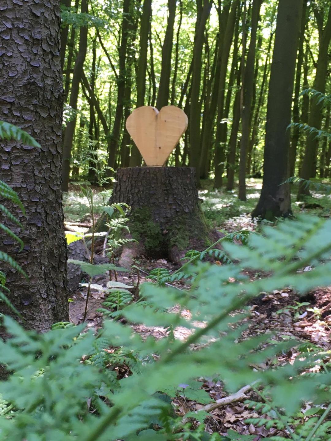 Auch Bäume haben ein Herz