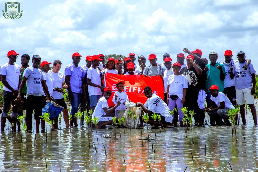 RSE- Eiffage Sénégal participe à une journée verte de reboisement à Sokone