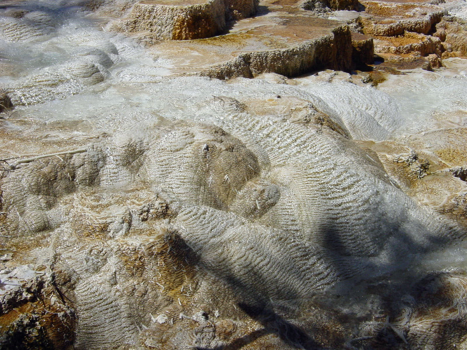 Mammoth Hot Spring Terraces