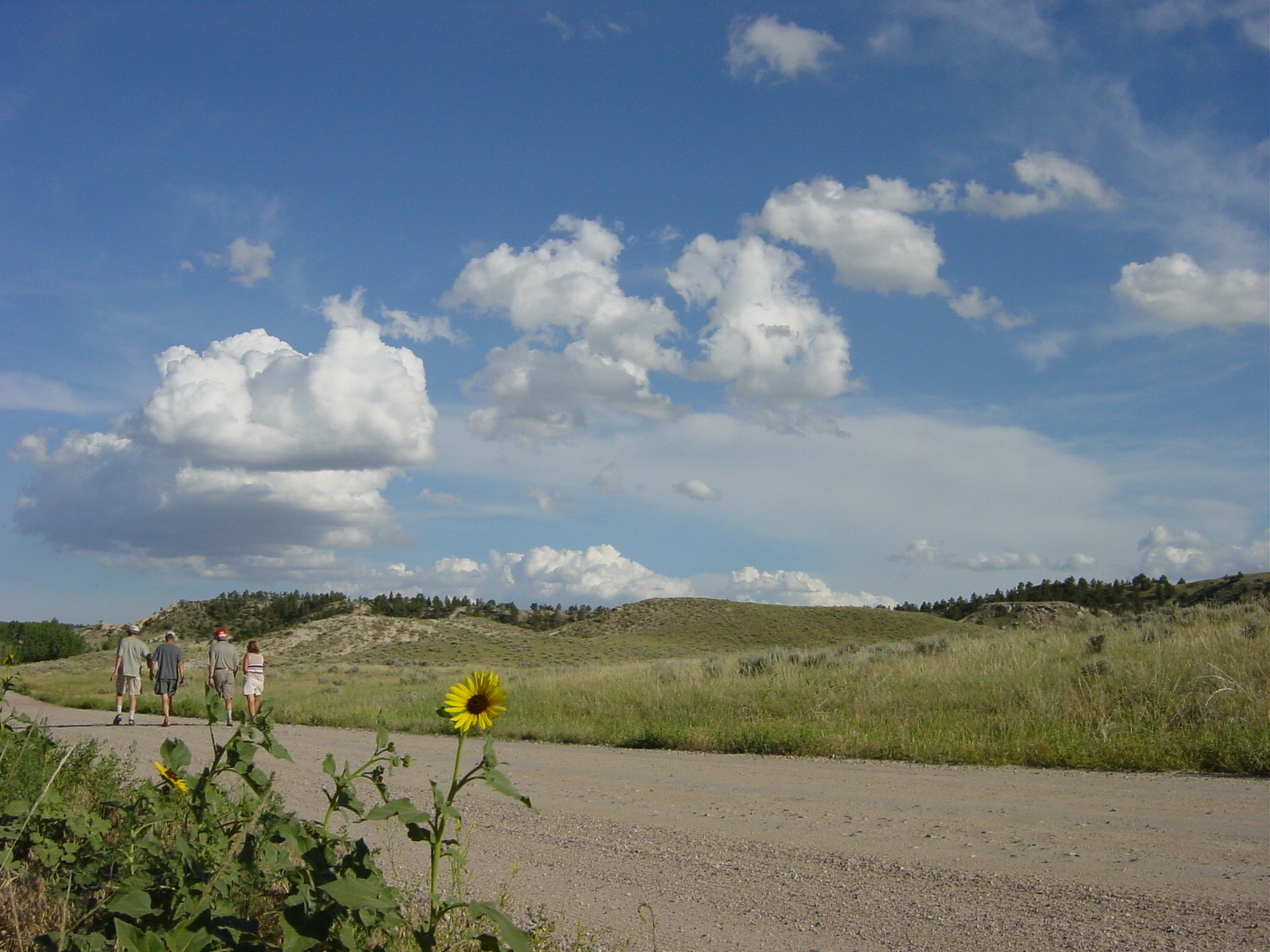 Glendo State Park