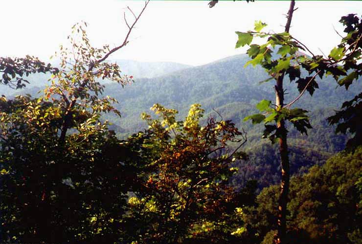 Auf dem Weg zum Laurel Falls